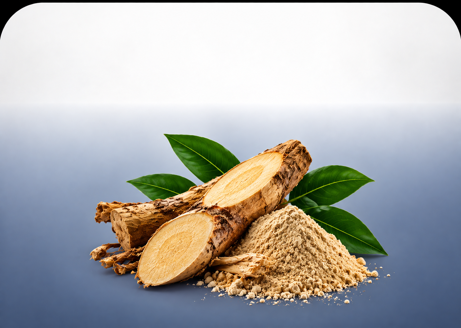 Tongkat Ali Root
